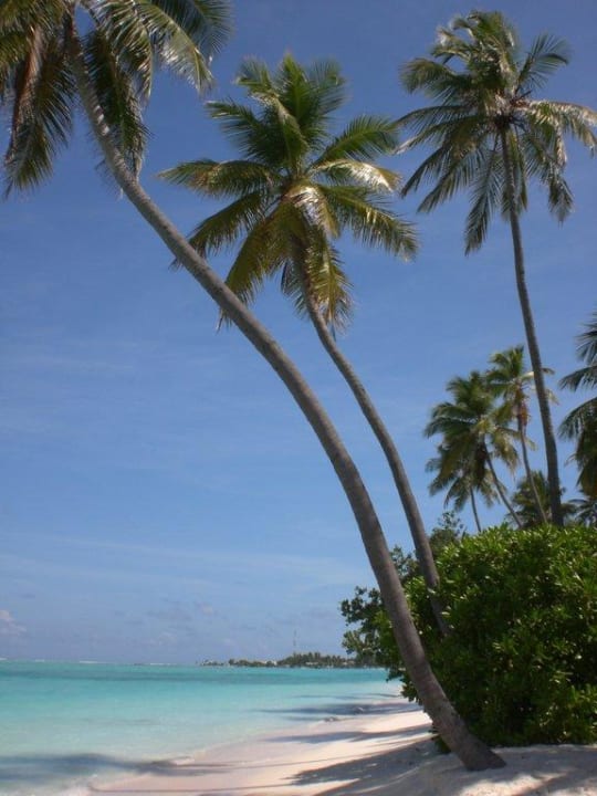 Postkartenbild Meeru Maldives Resort Island