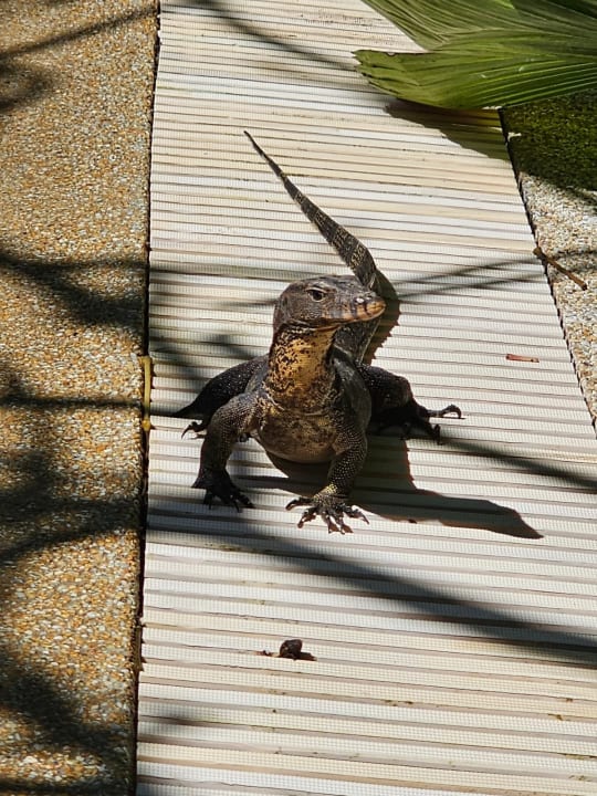 Sonstiges Khao Lak Merlin Resort