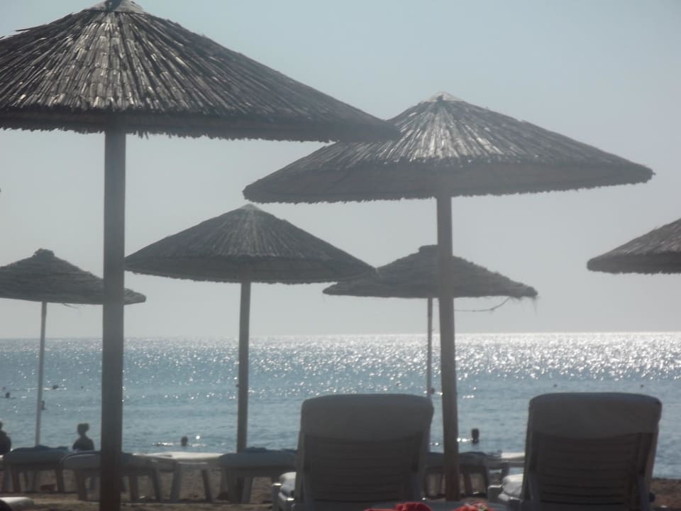 Tolle Lage Hotel Calypso Beach