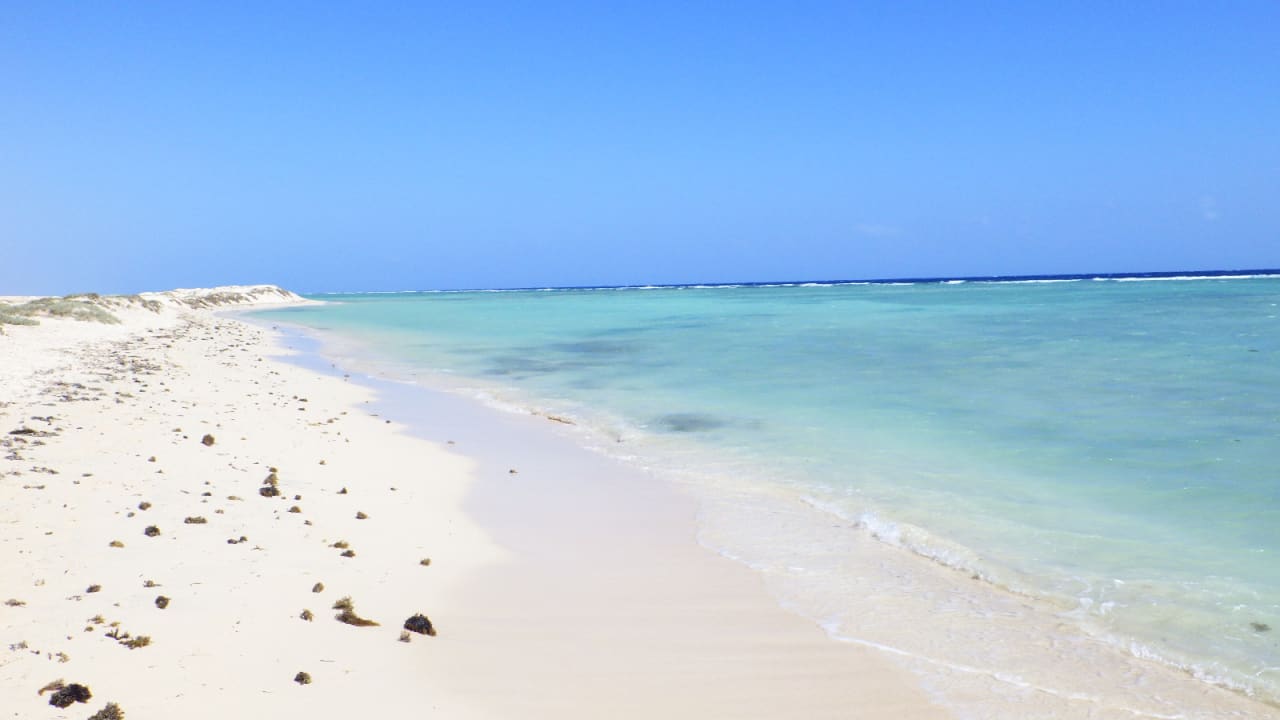 Strand Hotel Gorgonia Beach Resort