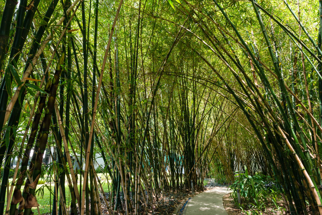 Gartenanlage Chatrium Hotel Riverside Bangkok