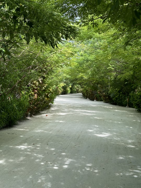 Gartenanlage TUI BLUE Olhuveli Romance