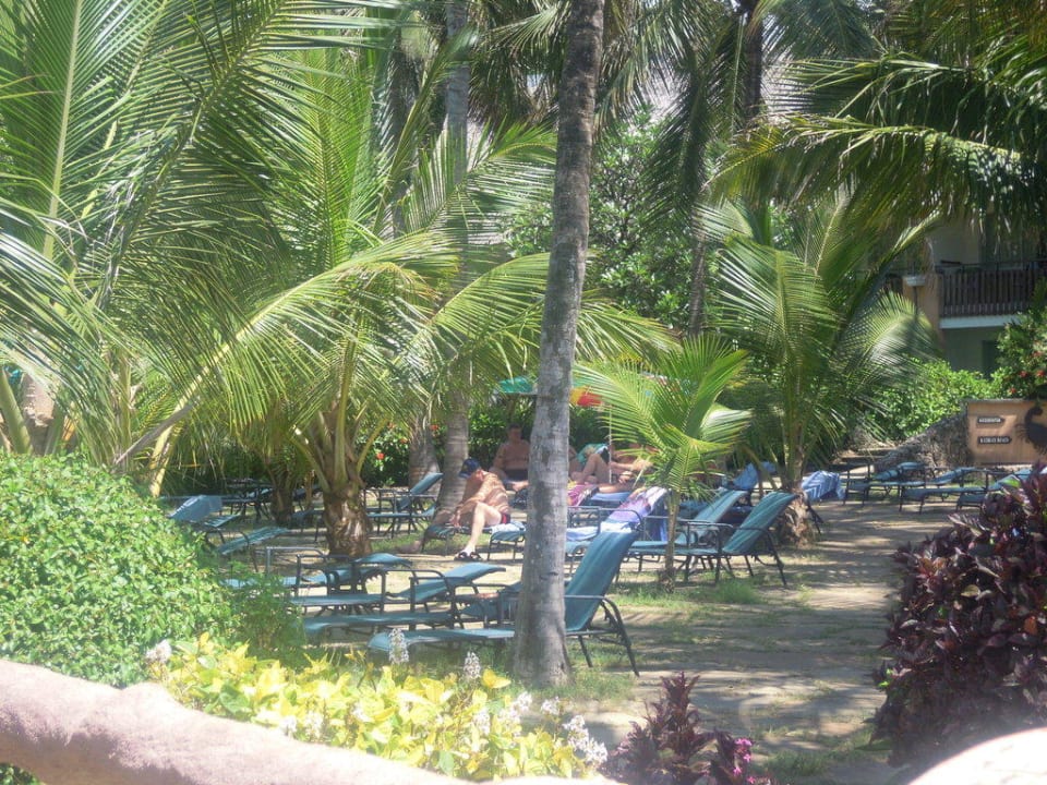 Liegewiese beim Pool Bahari Beach Hotel