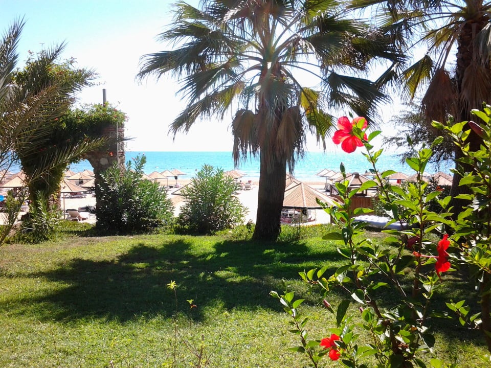BlicK zum Strand Hotel Defne Garden