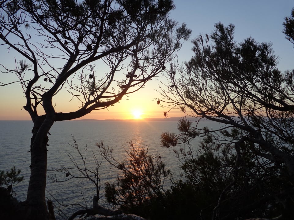 Blick von der Anlage auf das Meer Sun Club Eldorado