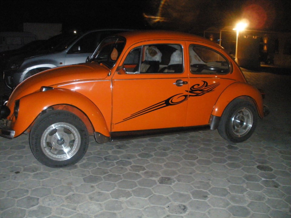 Den Käfer hätten wir gerne mitgenommen Pickalbatros Citadel Resort