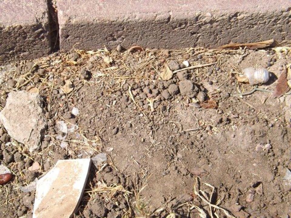 Glühbirnen Glas am gehweg Lotus Bay Beach Resort