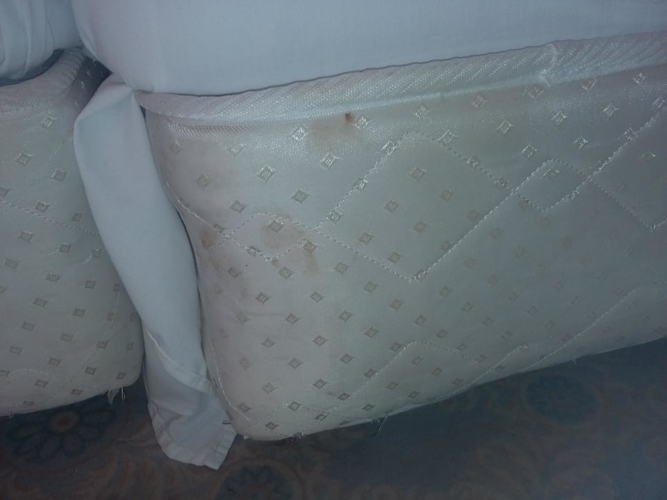 Ekelhaft Andalucia Beach Hotel & Residence