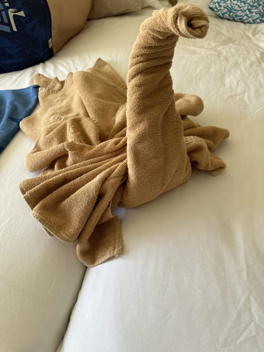 Zimmer SBH Hotel Taro Beach