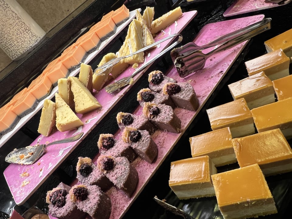 Gastro Papillon Ayscha