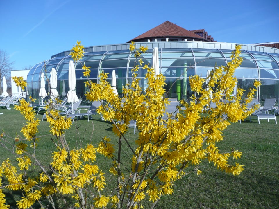 Blick auf die neue Poolanlage Hotel Fürstenhof Bad Griesbach