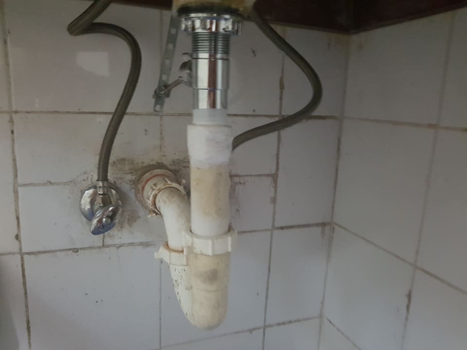 Zimmer whala!boca chica