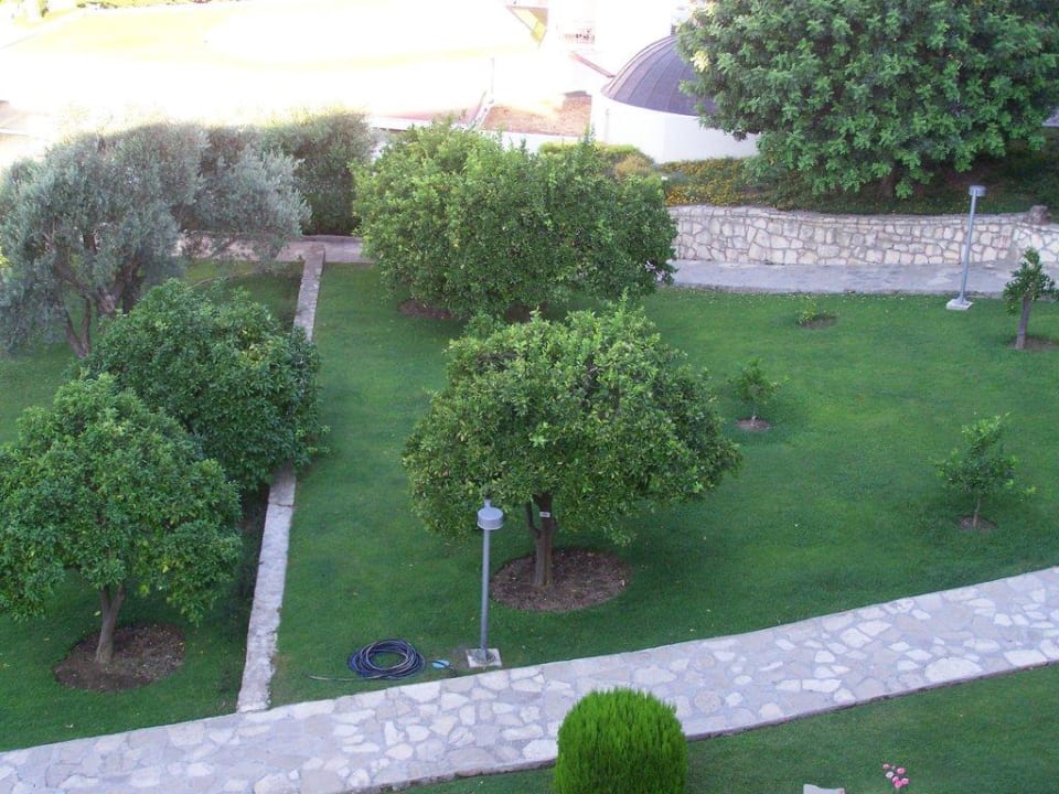 Sehr schön Barut Hemera
