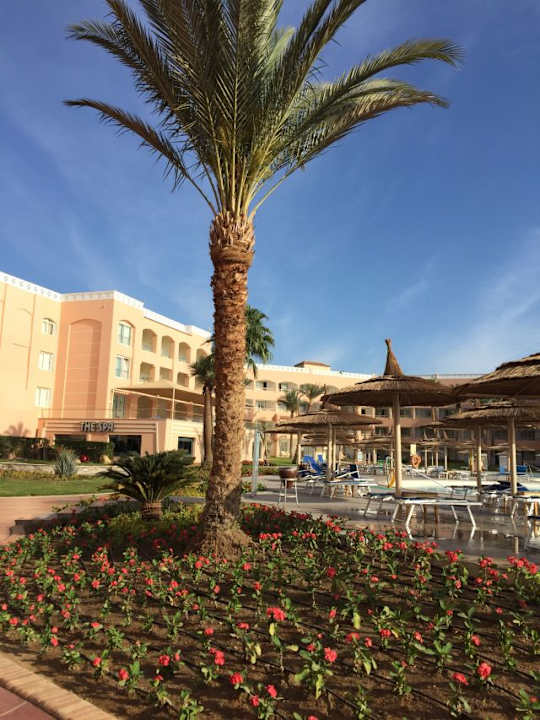 Blick zum Pool Beach Albatros Resort