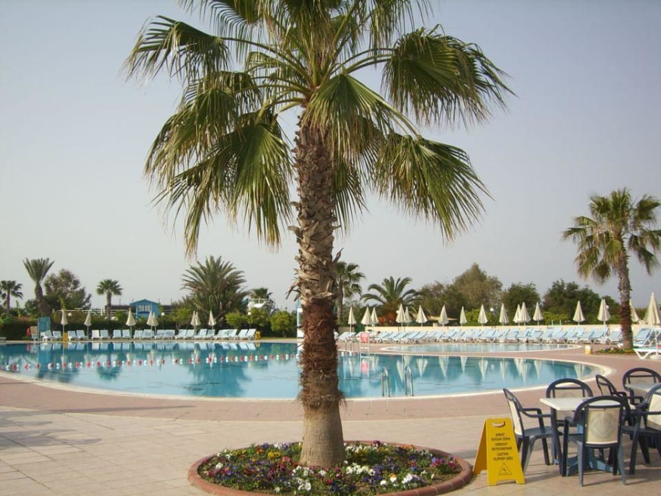 aktivity pool am frühen morgen Asteria Family Resort Side