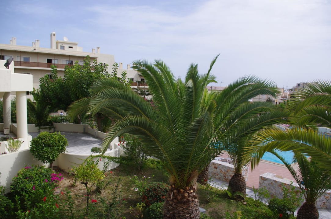 Palmy nad basenem Giannoulis Santa Marina Beach