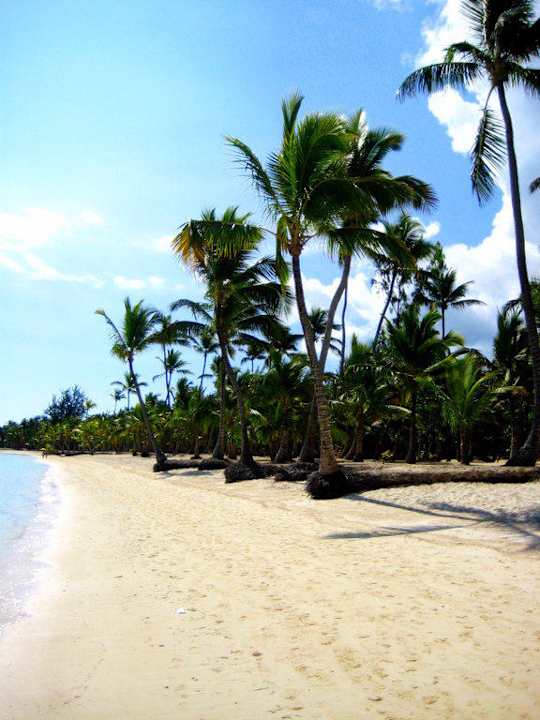 Einsamer Strandabschnitt Villas Bavaro Resort & Spa
