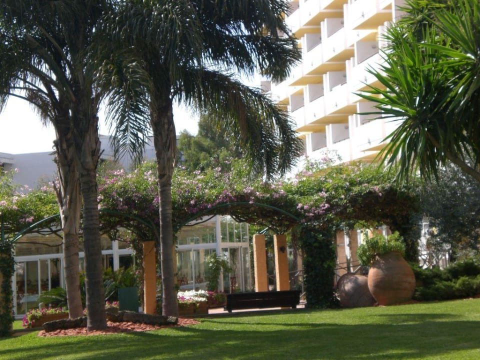 Palmen Iberostar Waves Ciudad Blanca