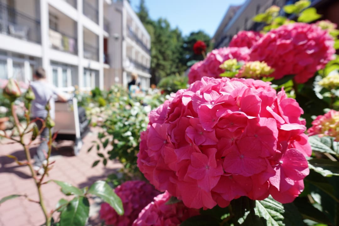 Gartenanlage Laguna Kompleks Wypoczynkowo Rekreacyjny