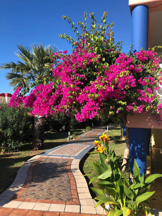 Gartenanlage Atrium Palace Thalasso Spa Resort & Villas