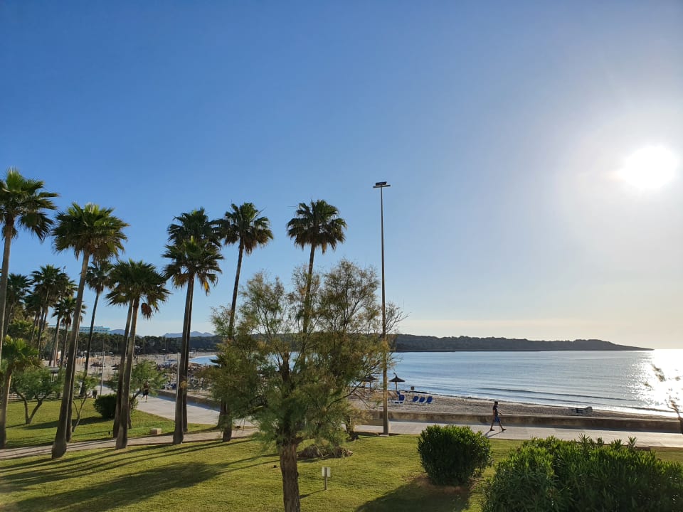 Ausblick Hipotels Mediterraneo