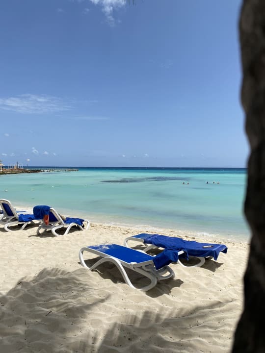 Strand Hotel Viva Dominicus Beach by Wyndham - All Inclusive Resort