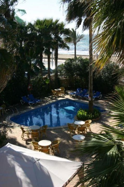 Poolansicht Hotel Ciutat Jardi