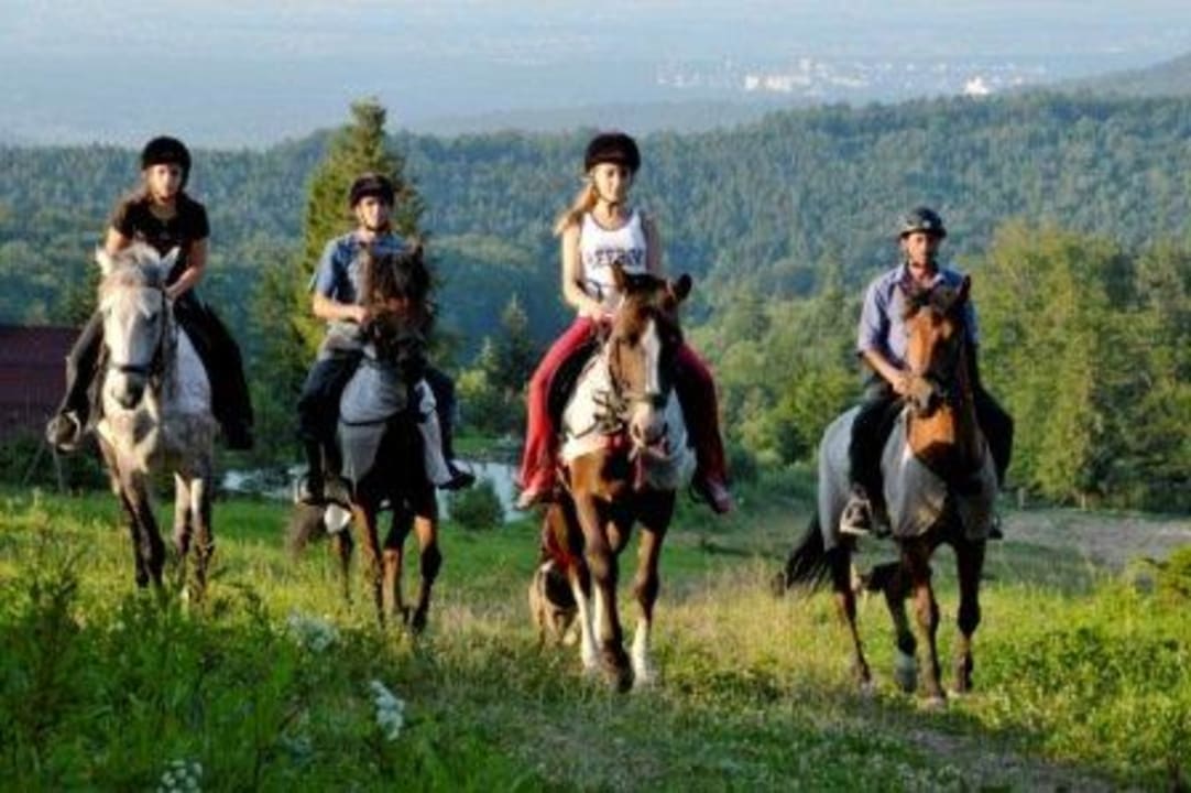 Конные прогулки и разные маршруты, инструктаж Berghotel Karpatski Polonini
