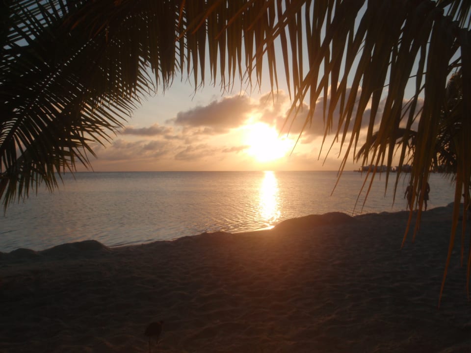 Strand Hotel Riu Atoll