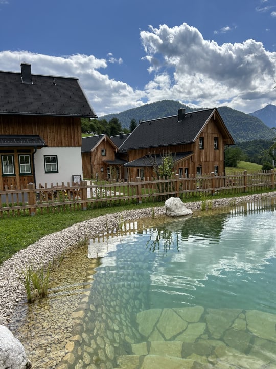 Gartenanlage Narzissendorf Zloam - Grundlsee