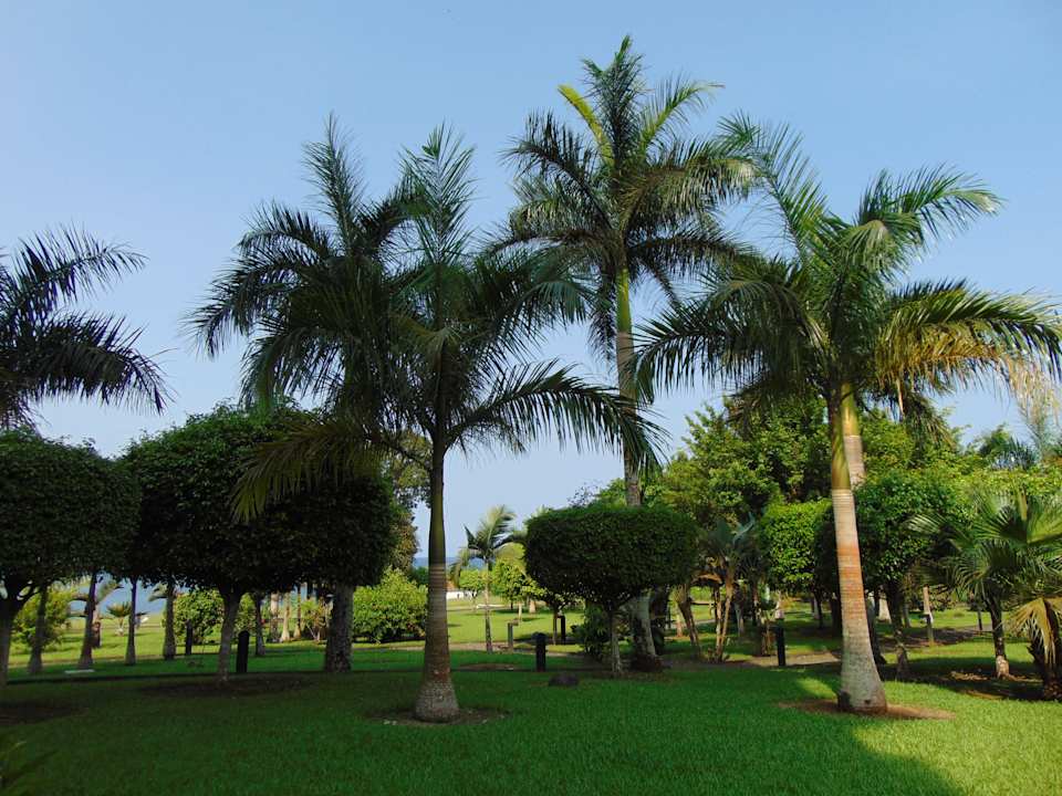 Gartenanlage Sofitel Malabo Sipopo Le Golf
