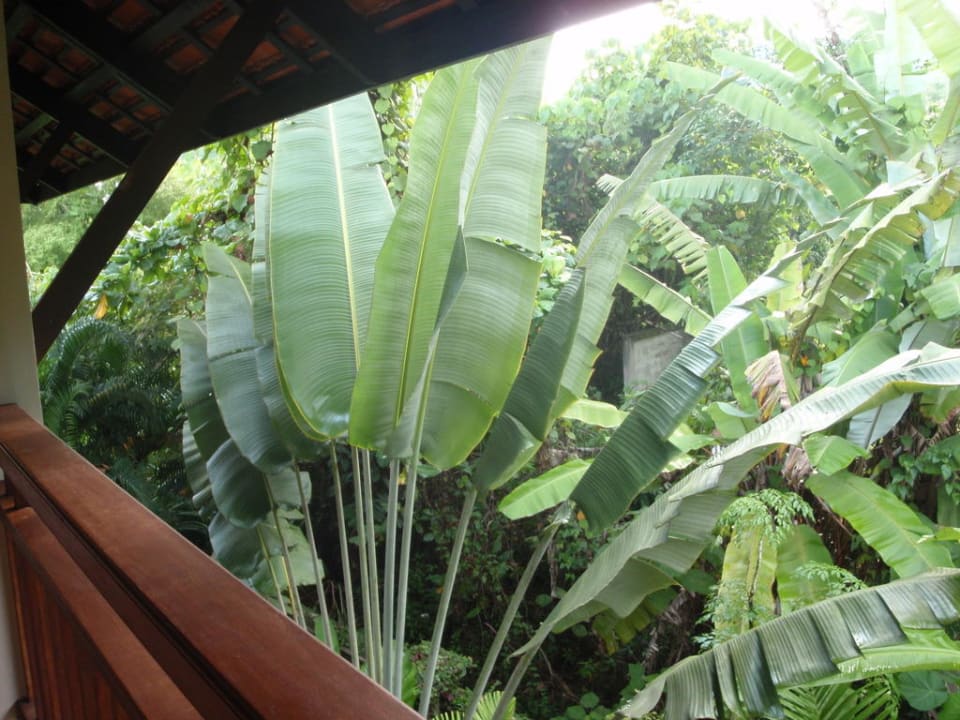 Blick aus unserem Zimmer Khao Lak Bhandari Resort & Spa
