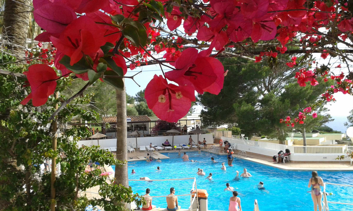 Pool Sun Club Eldorado