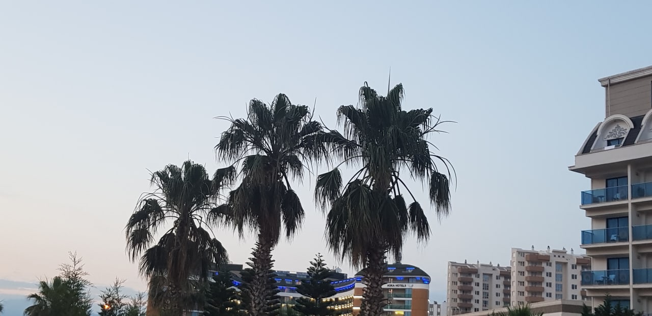 Ausblick Saturn Palace Resort Hotel