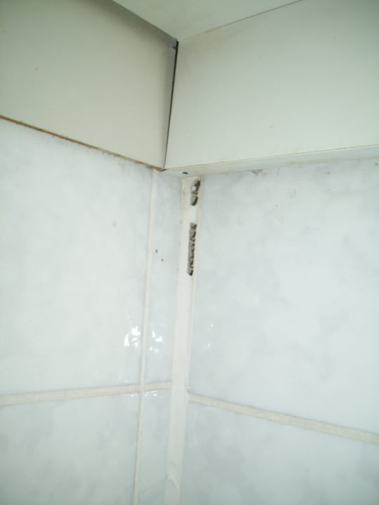 Küchenmöbel Panoramic - Ihr Apartmenthotel im Harz