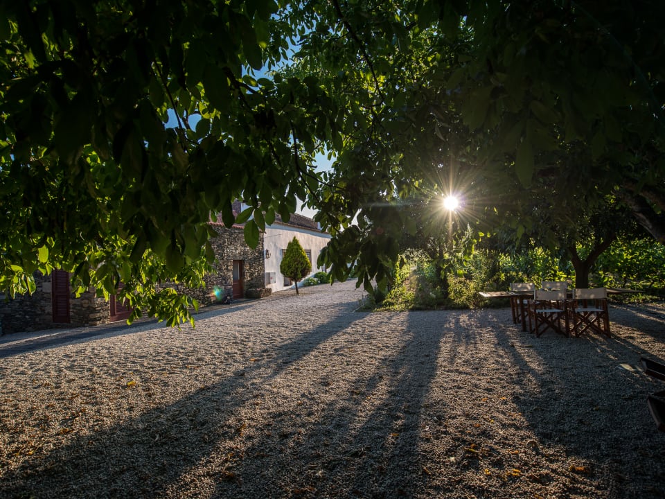 Gartenanlage Hotel Morgadio da Calcada