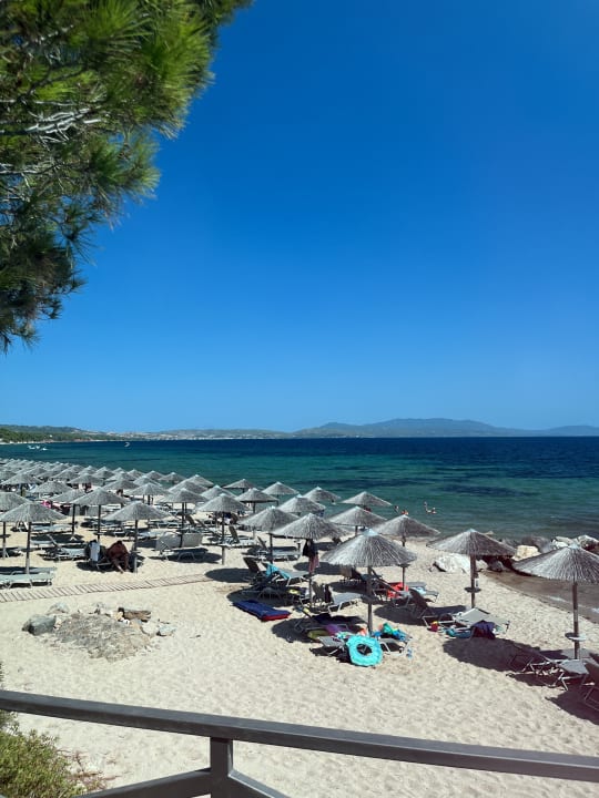 Strand Blue Dolphin Resort Hotel
