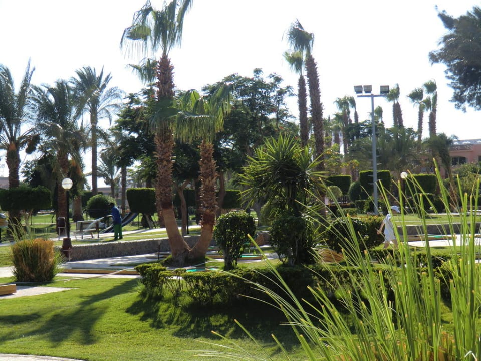 Wunderschöner Garten Beach Albatros Resort