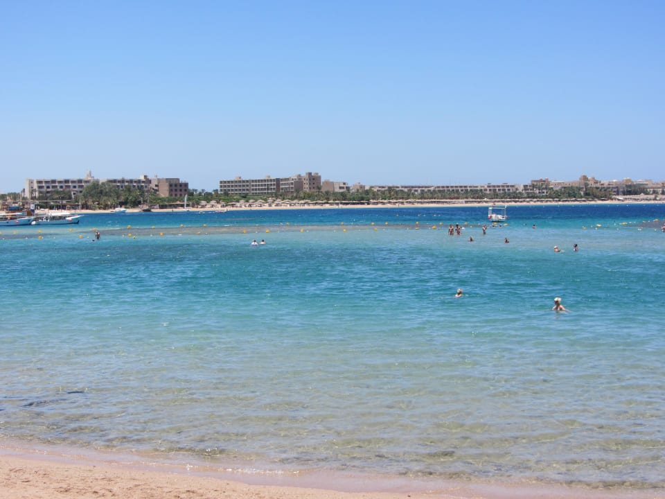 Schnorcheln ein MUSS Jaz Makadi Oasis Resort