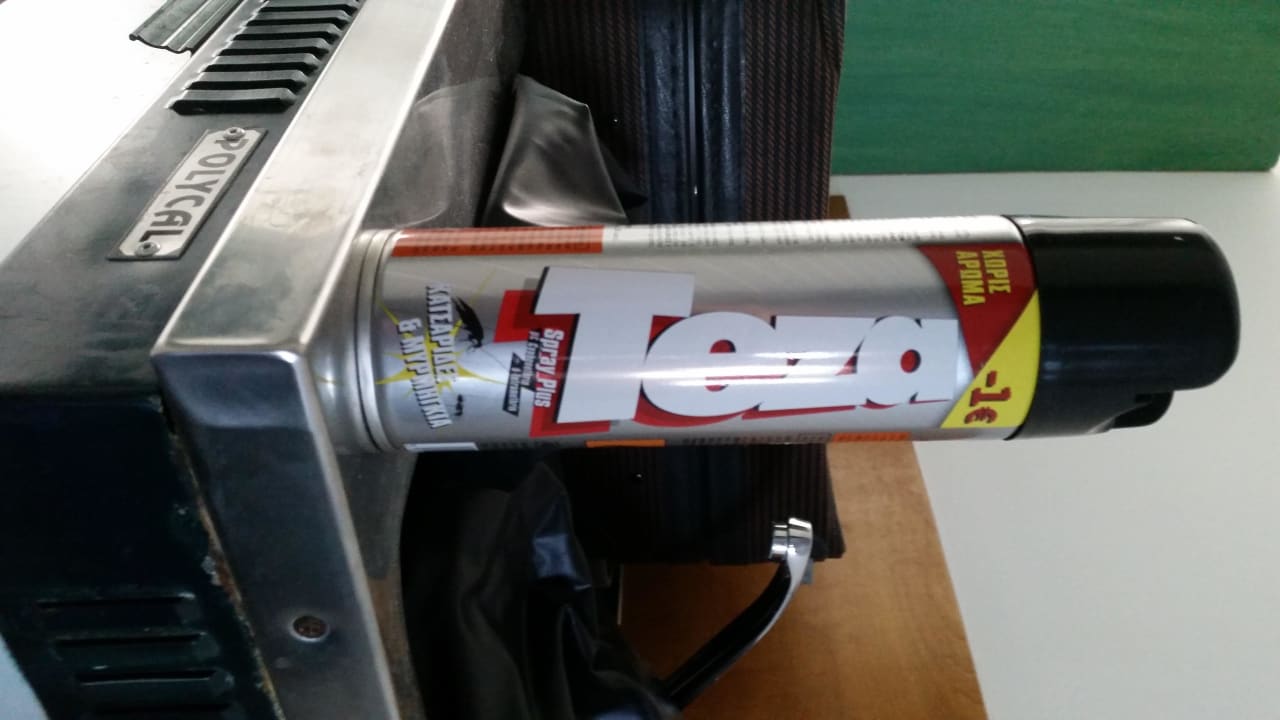 Rezeption gab uns Insektenspray für die Kakerlaken Ilios K Village Resort