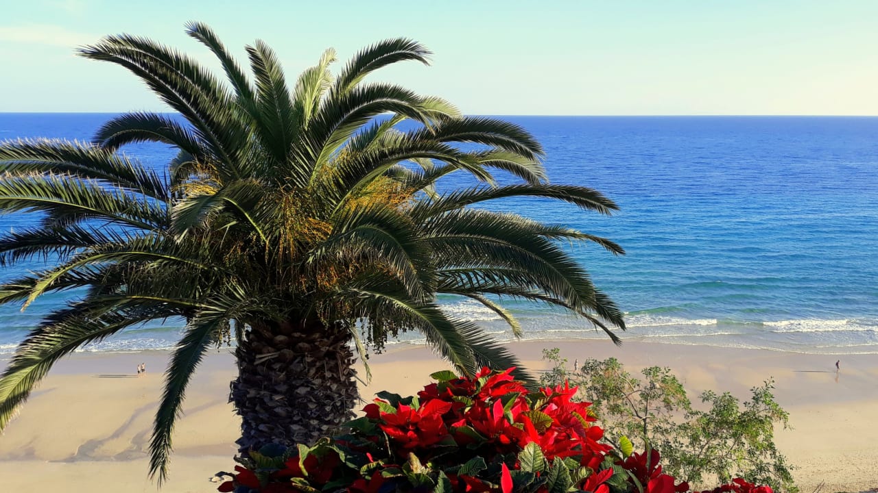 Ausblick SBH Club Paraiso Playa