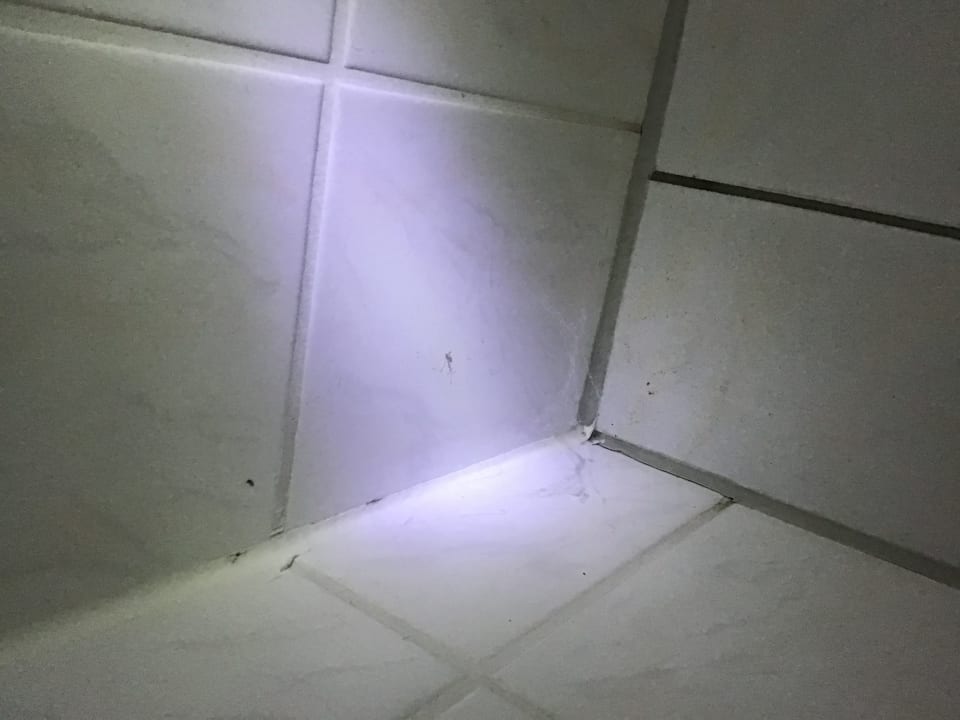 Zimmer Gasthaus Zum Rethberg