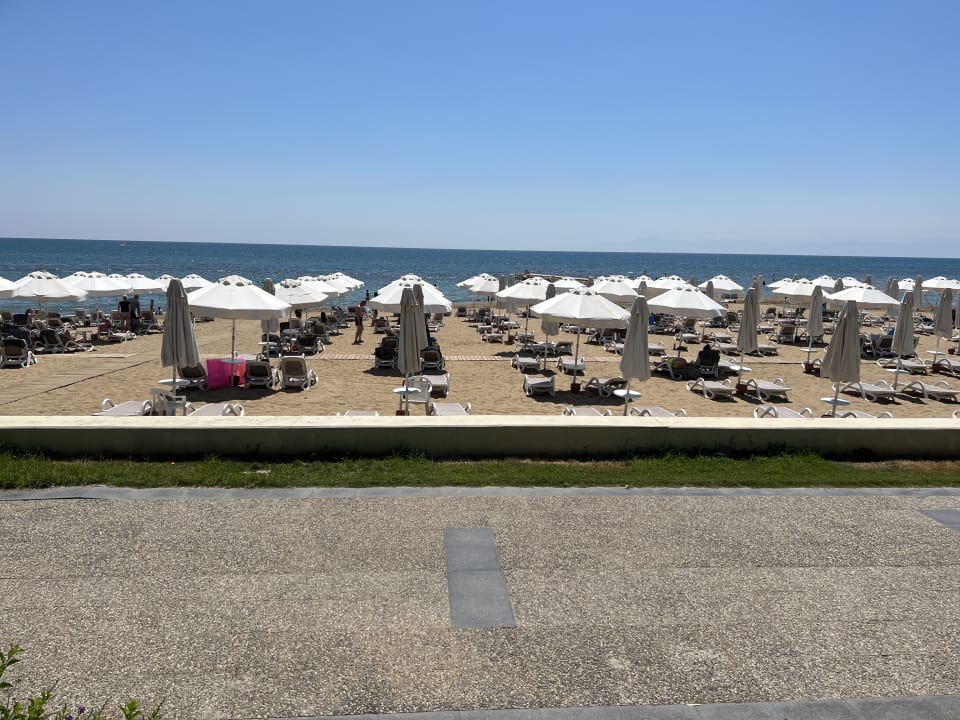 Strand PALOMA Perissia