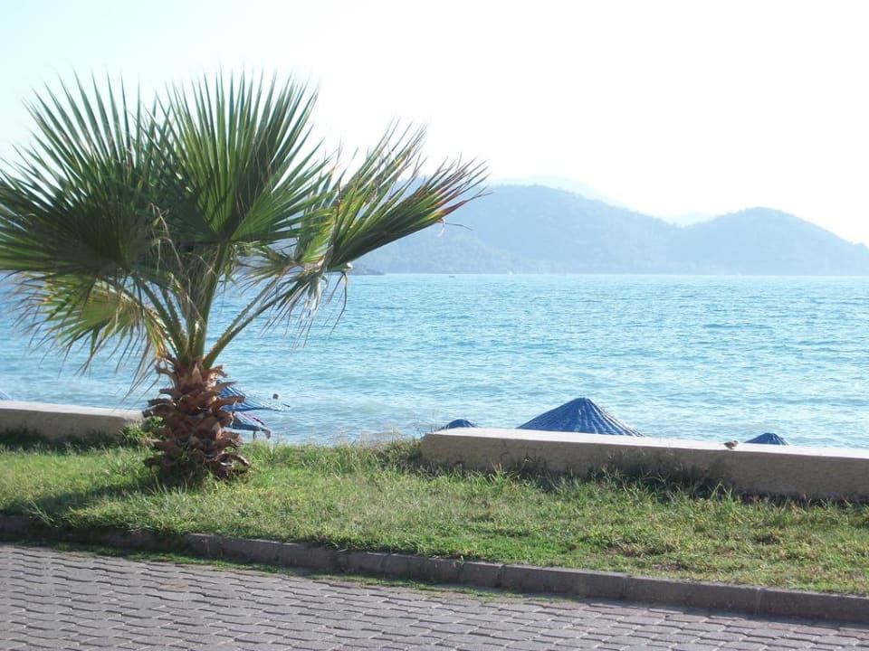 Calis Strand Hotel Area