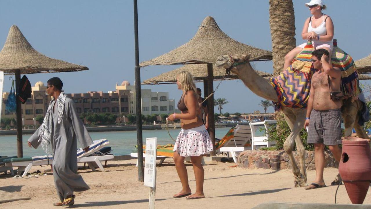 Hotelcamel Willy Arabia Azur Resort