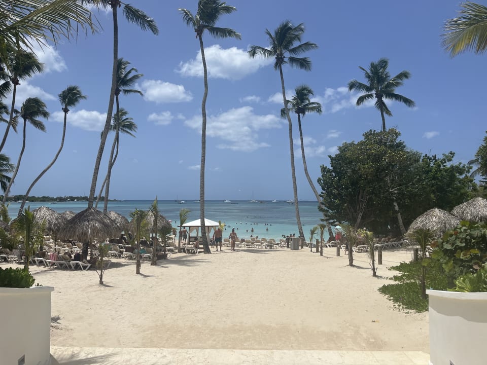 Strand Secrets La Romana Resort & Spa - Adult Only