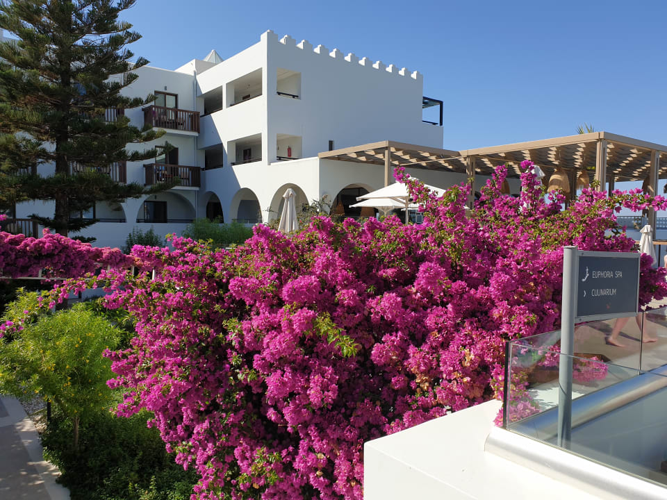 Außenansicht TUI BLUE Oceanis Beach and Spa Resort