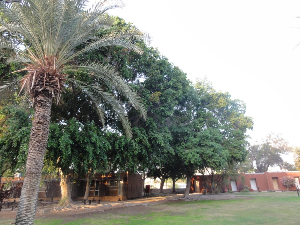 Ogród i domki w kibbutzu Almog Kibbutz Hotel