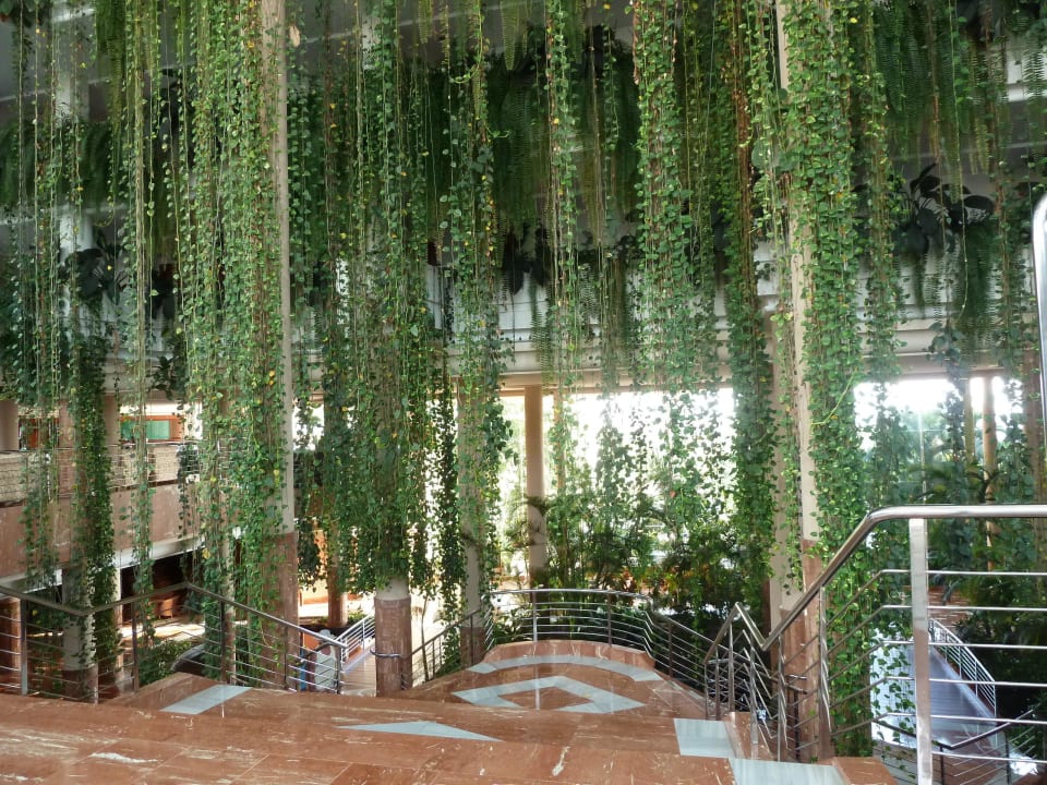 Halla Landmar Playa La Arena