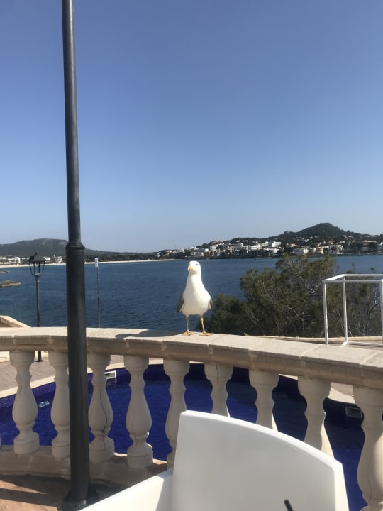 Ausblick Sentido Fido Punta del Mar – Adults only